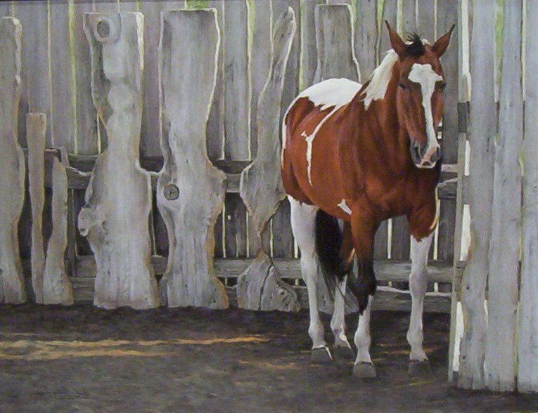 Judy Larson - Cool Corner